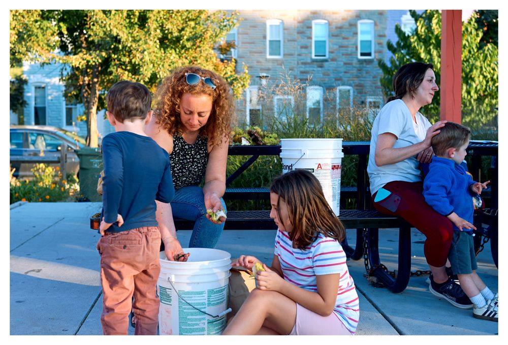 A woman and children pick sunflower seeds