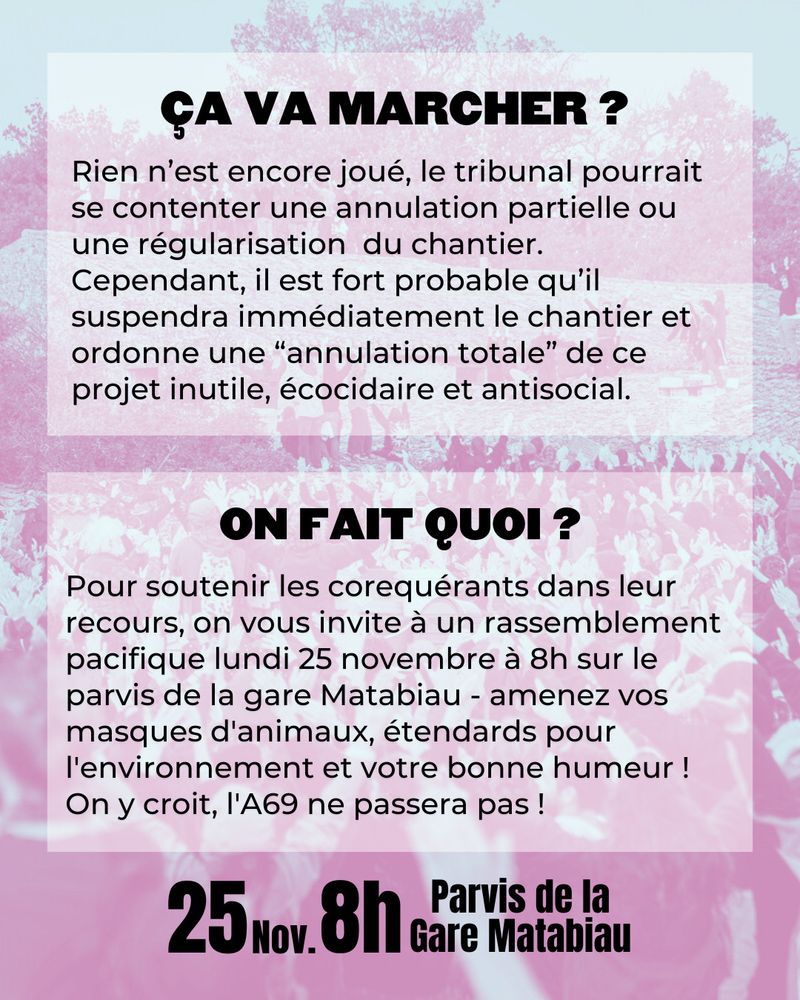 ÇA VA MARCHER ?
Rien n’est encore joué, le tribunal pourrait se contenter une annulation partielle ou une régularisation  du chantier.
Cependant, il est fort probable qu’il suspendra immédiatement le chantier et ordonne une “annulation totale” de ce projet inutile, écocidaire et antisocial.

ON FAIT QUOI ?
Pour soutenir les corequérants dans leur recours, on vous invite à un rassemblement pacifique lundi 25 novembre à 8h sur le parvis de la gare Matabiau - amenez vos masques d'animaux, étendards pour l'environnement et votre bonne humeur ! On y croit, l'A69 ne passera pas !