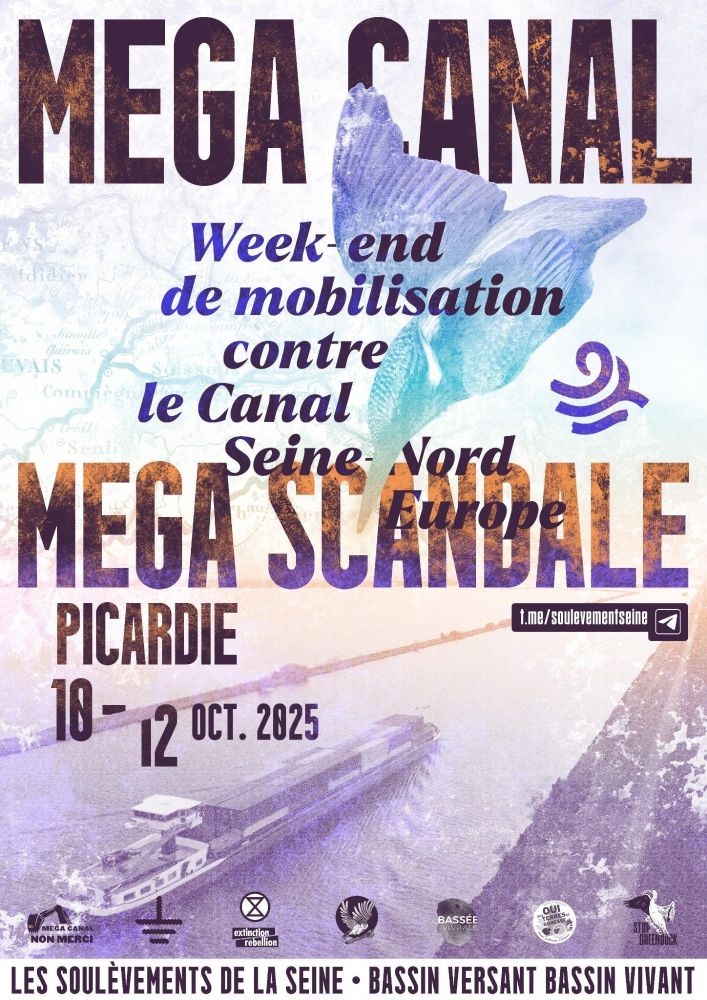 Affiche méga canal - méga scandale