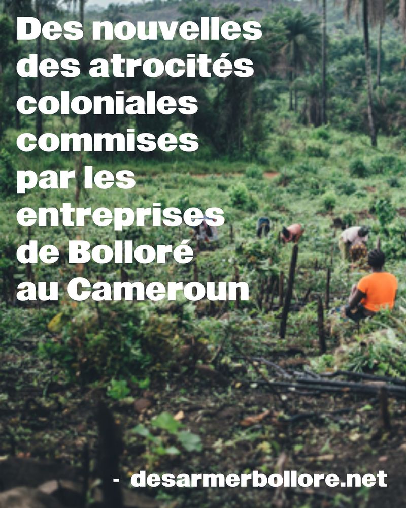 Des nouvelles des atrocités coloniales commises par les entreprises de bolloré au cameroun