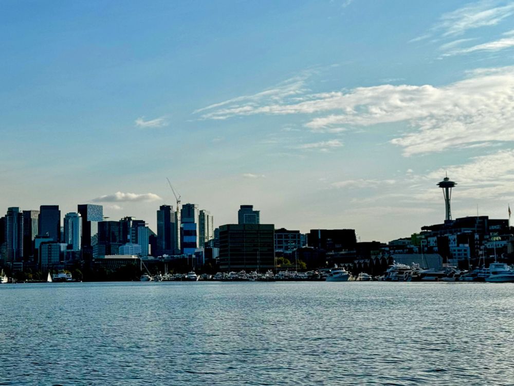 A view of urban Seattle, including the Space Needle, from the water. 