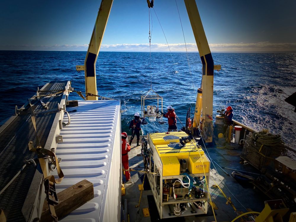 Recovery of the Unisens MiniChamber after a 20h incubation at a depth of 320m