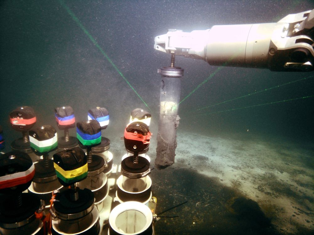 Sampling of sediment core in a microbial mat located in a pockmark using a ROV.
