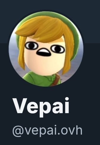 Lonk as my profile icon and my user name and personal handle