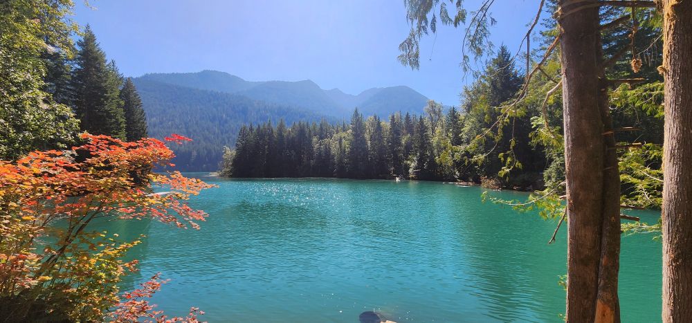 Baker Lake, green and serene. 