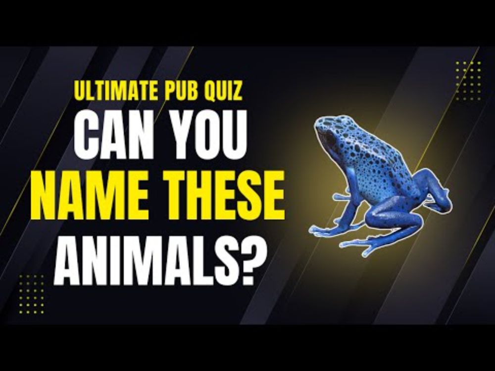 Think You Know Your Animals? This Quiz Will Prove You Wrong!