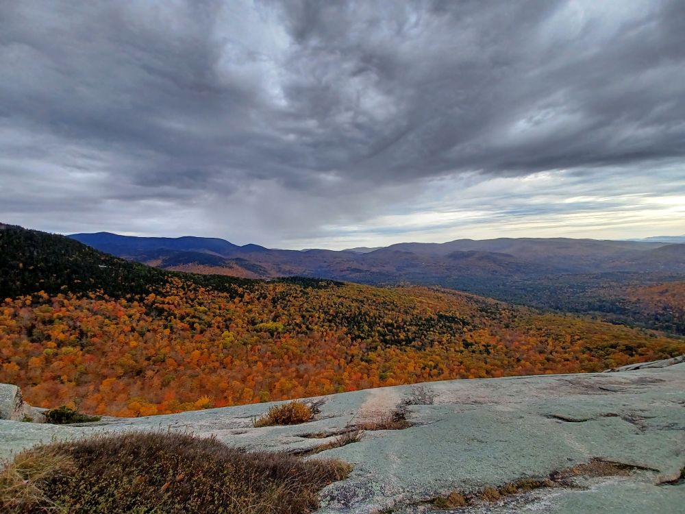 View of forest with fall colors from mountain