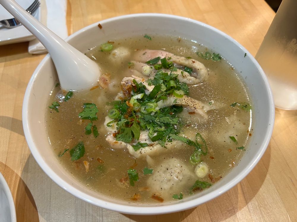 A bowl of chicken broth topped with slices of chicken, scallions, and cilantro.