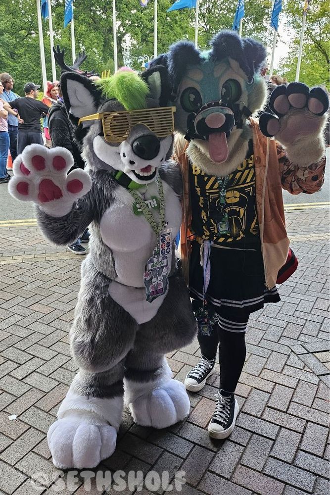 Photo of a grey and white wolf dog fursuit, with black ears and a green hair tuft, wearing a big plush green collar and sushi lanyard with name badges on, all of which say "Seth".
They're standing next to a blue and white canine fursuit partial with a black and yellow outfit, featuring a skirt and converse shoes. They are both waving at the camera.

The text in the bottom left says "@SethSholf".