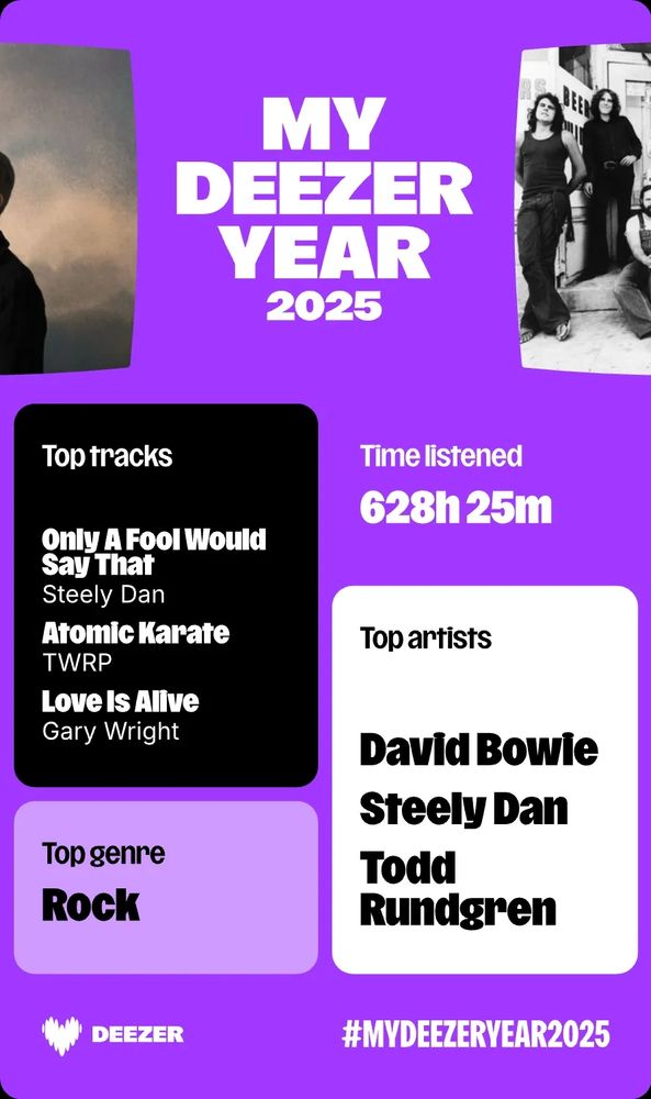 Top genre: Rock
Top artists: David Bowie, steely Dan, Todd rundgren
628 hours, 25 minutes listened
