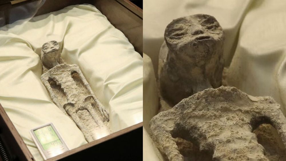 Two angles of a real mummy of an actual alien. 