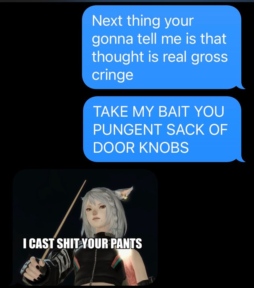 First text box: Next you’re going to tell me that thought is real gross cringe 

Second text box: TAKE MY BAIT YOU PUNGENT SACK OF DOORKNOBS

Image of a cat girl holding a magic wand: I cast shit your pants