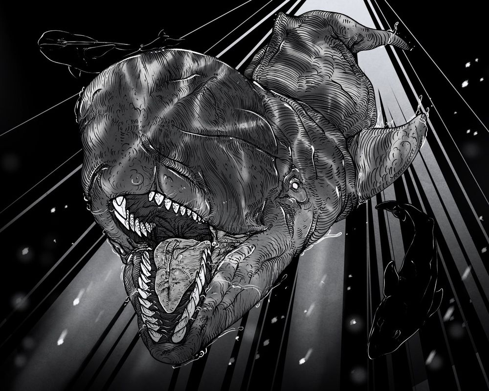 Livyathan melvillei swimming from the depths with Cetoterium on the right and Odobenocetops on the left. The illustration is in monochrome black and white.