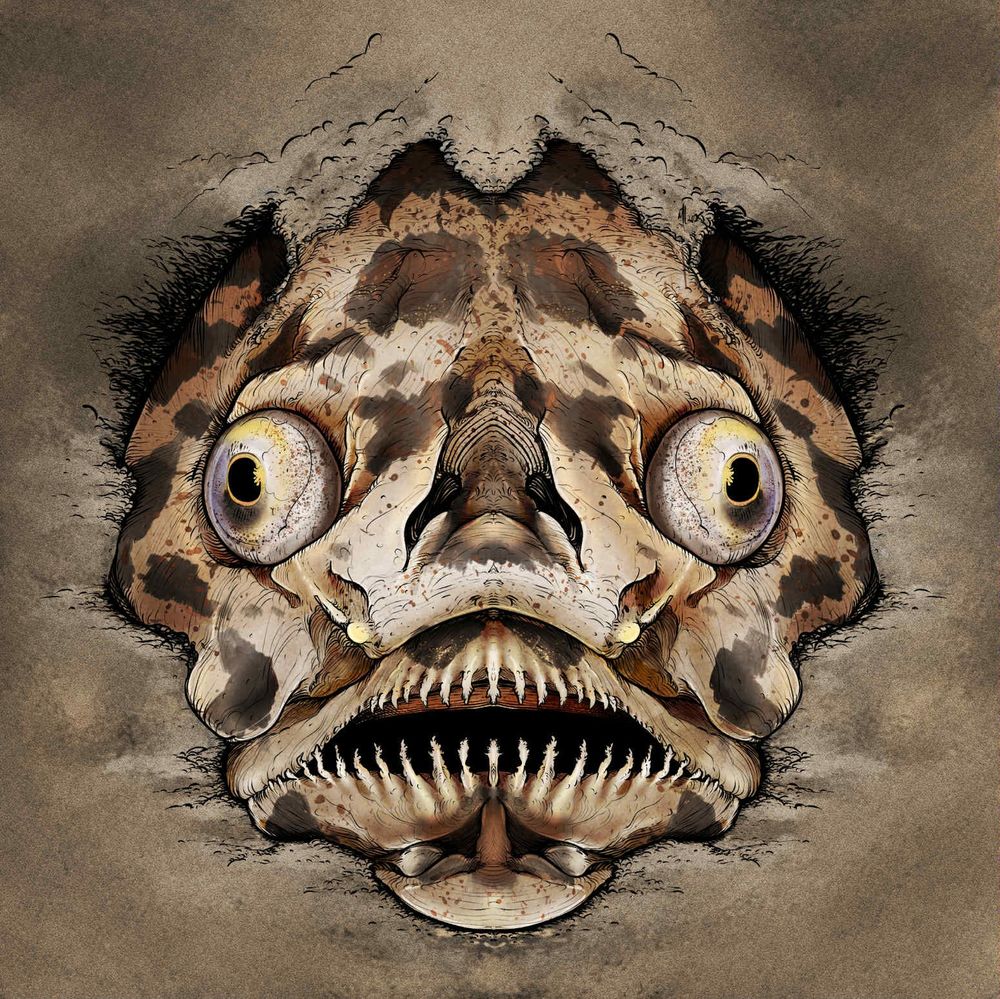 A dark spotted stargazer fish in sand.