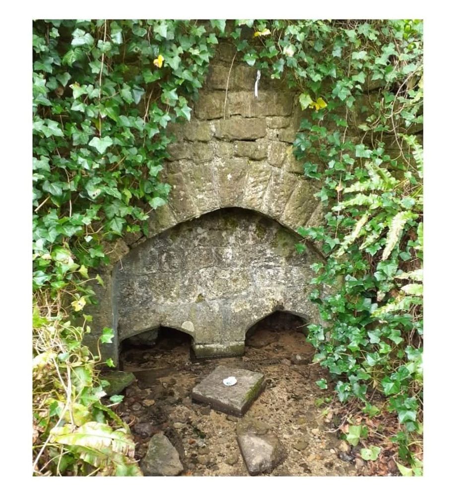 Pictured is the holy well where Ine and Ethelburg’s friend St Aldhelm died. Located in Doulting, it's worth a visit in my opinion.