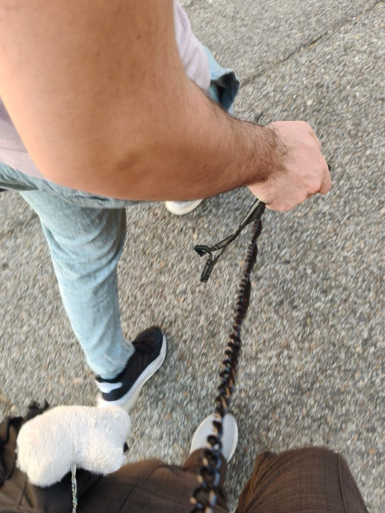 Sir pulling from my leash