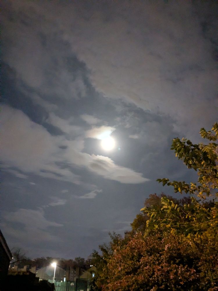 Full moon emerging from clouds, over autumn tree