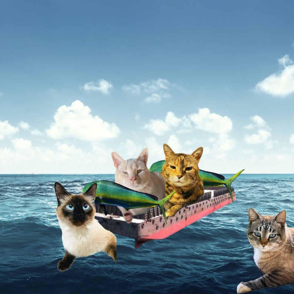 Flash, Esther, Li-lan and Walt are on their way to Flanoy where they will return his taco barge to him
