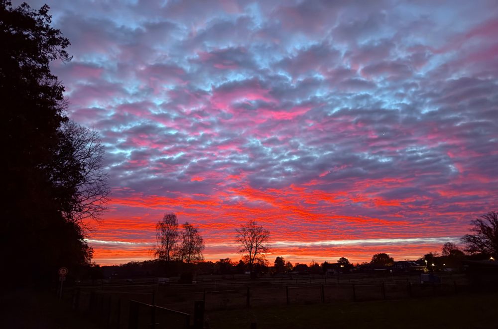 Der Blick geht über eine Pferdekoppel. Die Wolken am Himmel sind farbenfroh.