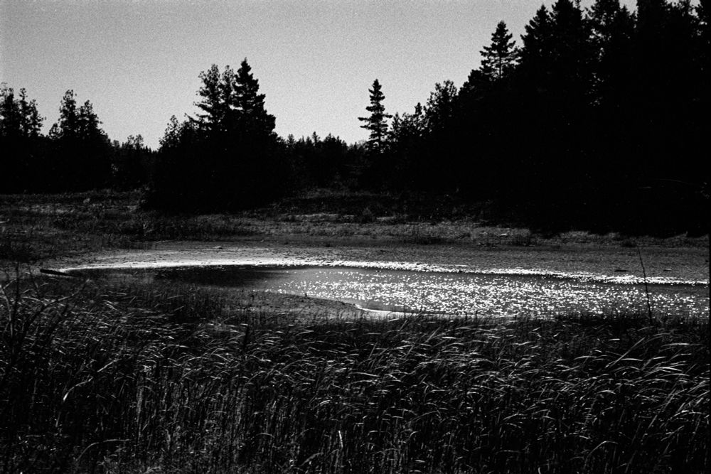 black and white photo of a tide pool shimmering in the sun