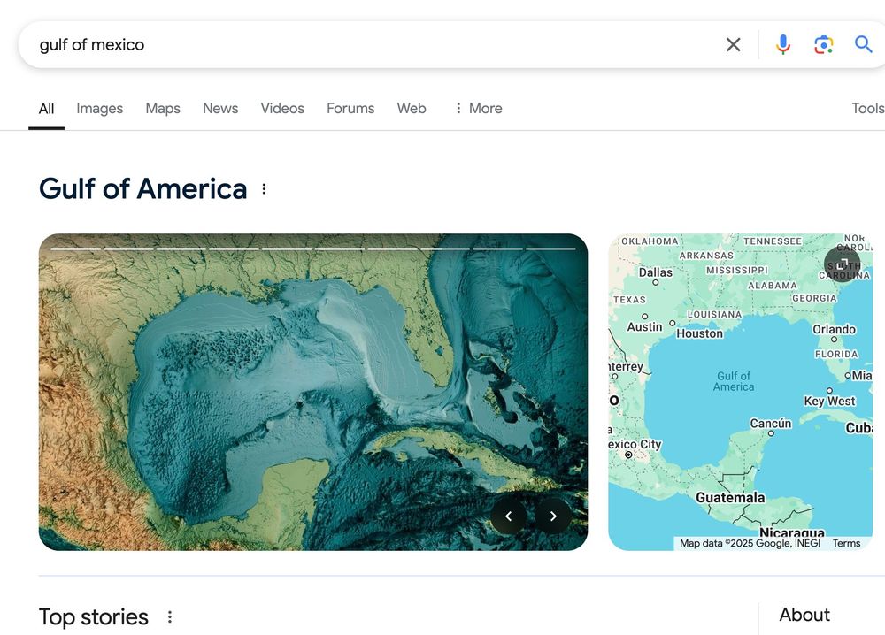 Screenshot of Google search results showing 'Gulf of America' when searching Gulf of Mexico.