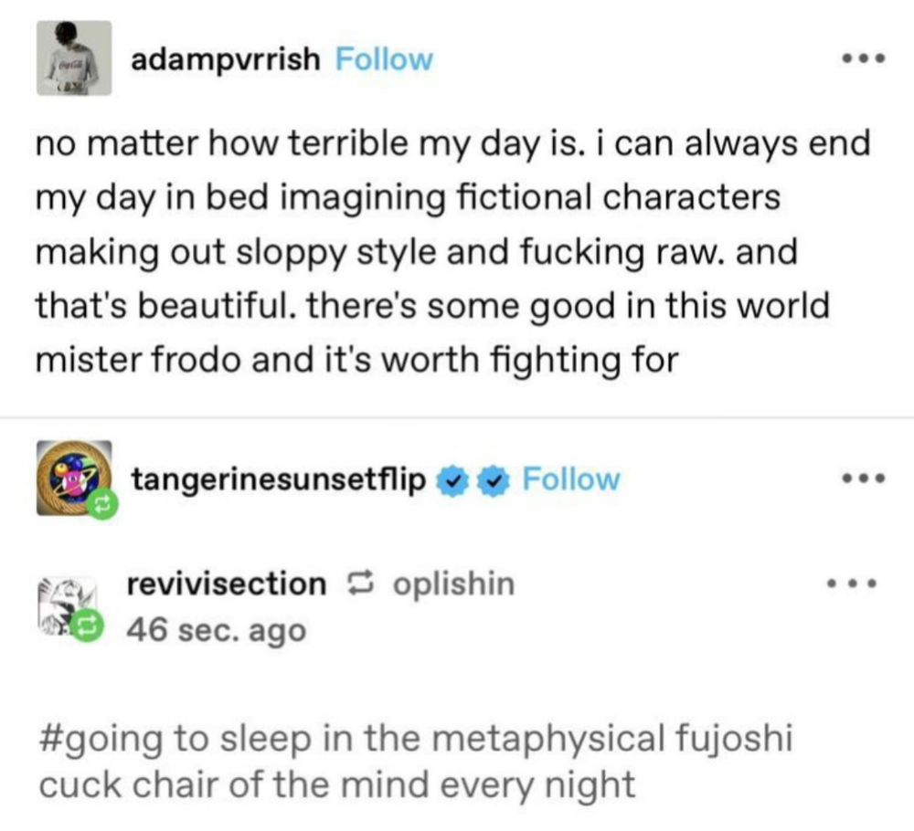 Tumblr post from adampvrrish:
no matter how terrible my day is. i can always end my day in bed imagining fictional characters making out sloppy style and fucking raw. and that's beautiful. there's some good in this world mister frodo and it's worth fighting for

Tags added by revivisection:
#going to sleep in the metaphysical fujoshi cuck chair of the mind every night