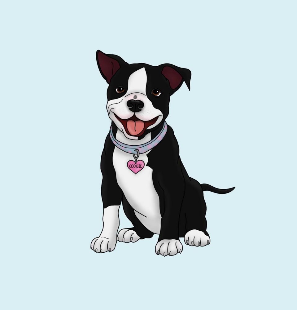 Drawing of pit bull puppy