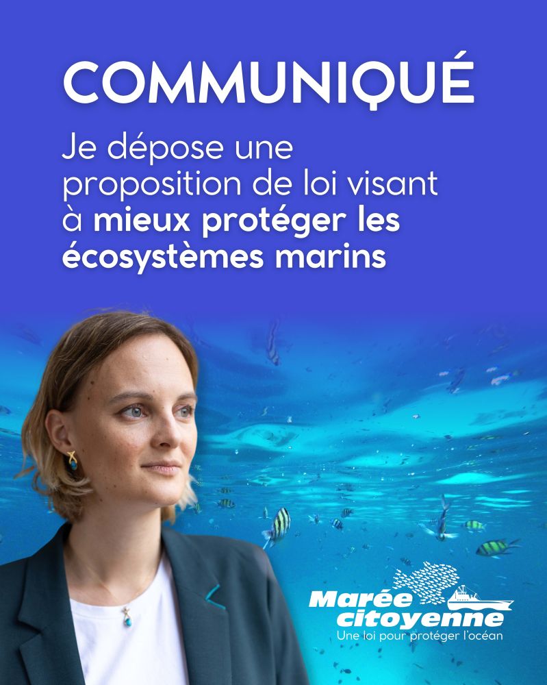 Communiqué : je dépose une proposition de loi visant à mieux protéger les écosystèmes marins. 
