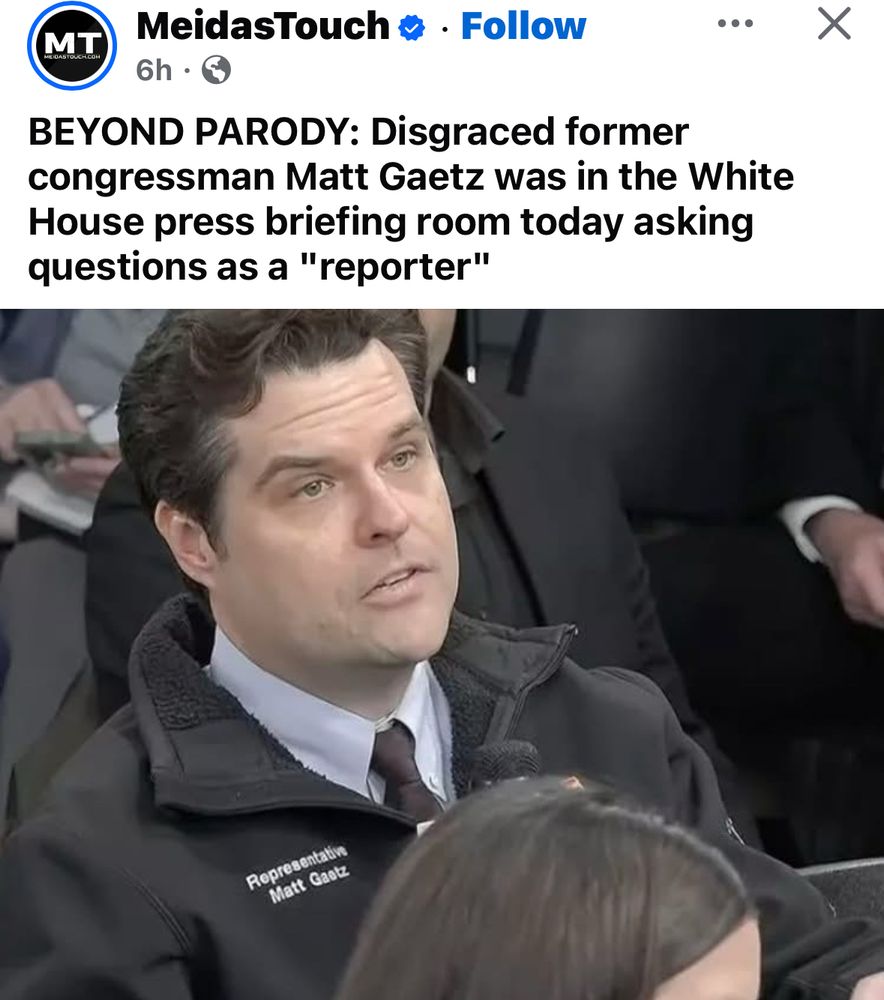 Quiero que todo el mundo en Stranger Things se muera menos Hopper y Wynona Rider