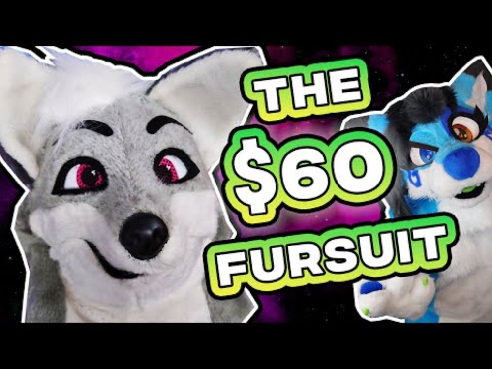 THE $60 FURSUIT 🦊