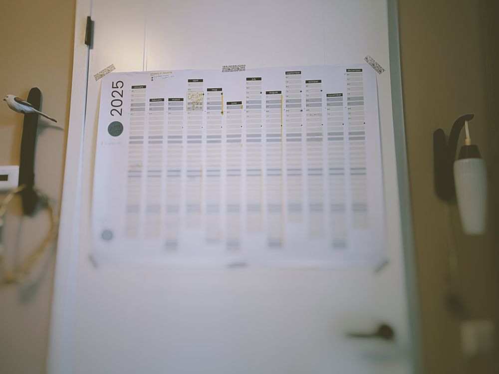 A blurred out view of a A0 wallplanner stuck on a white door with a black handle. A carved bird hook on the left and a mid century sconce on the right hung on a blush pink wall. 