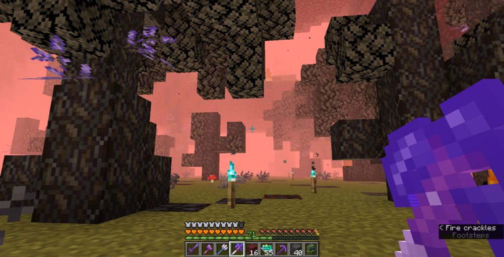2 more visible soul torches and a forest of withering oaks. 

they went through several of these forests and cE was not pleased. But they were also concerned. Why the sudden roadtrip? 