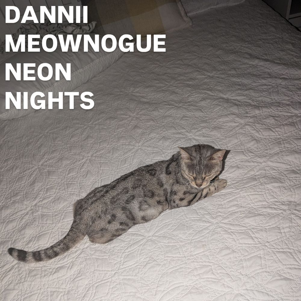 Will's cat doing Neon Nights