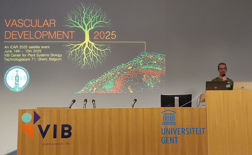 Vascular Development meeting 