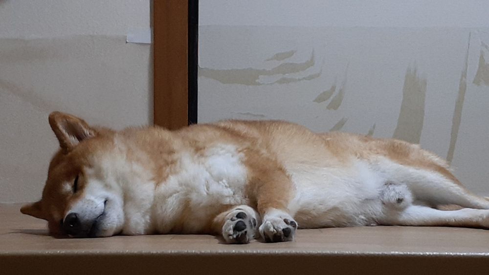 すやすやのれいじろうさん