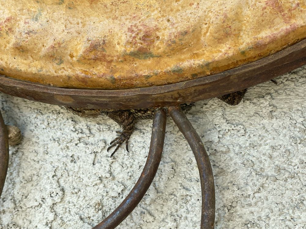 A lizard is just poking out from behind a clay sun ornament hanging outside on a stucco wall of the house. 
