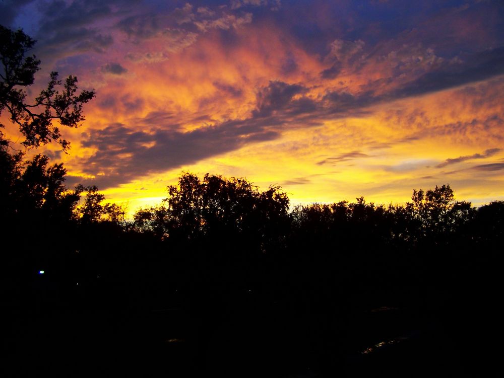 Sunset above trees