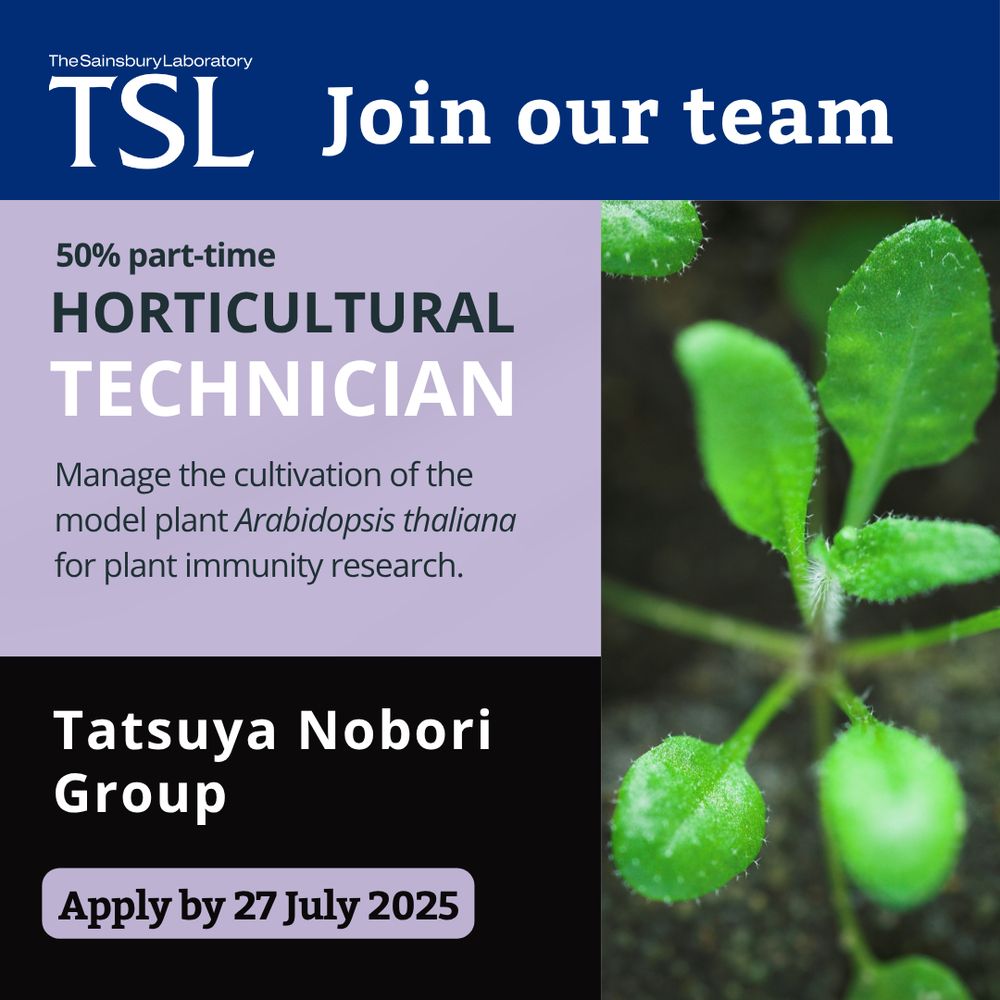 A 50% part-time Horticultural Technician position is available within the Nobori Group to manage the cultivation of the model plant Arabidopsis thaliana.Closing Date : 27th July 2025