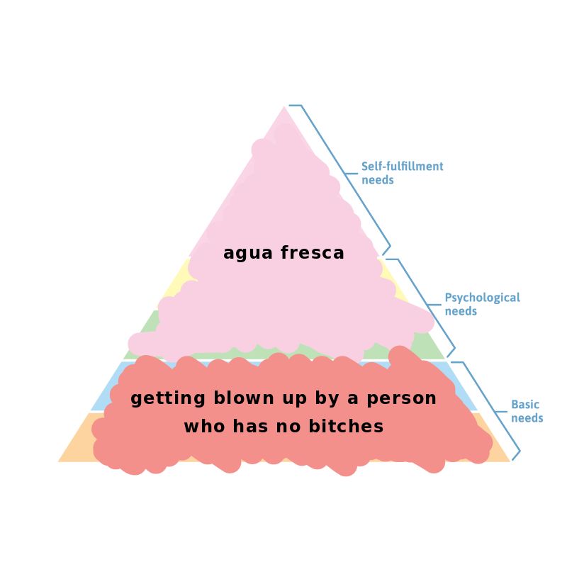 image of a triangle broken into horizontal chunks which are labled from top to bottom: self-fulfillment needs, psychological needs, and basic needs. the triangle has been scribbled over. text written over it says "agua fresca and getting blown up by a person who has no bitches"