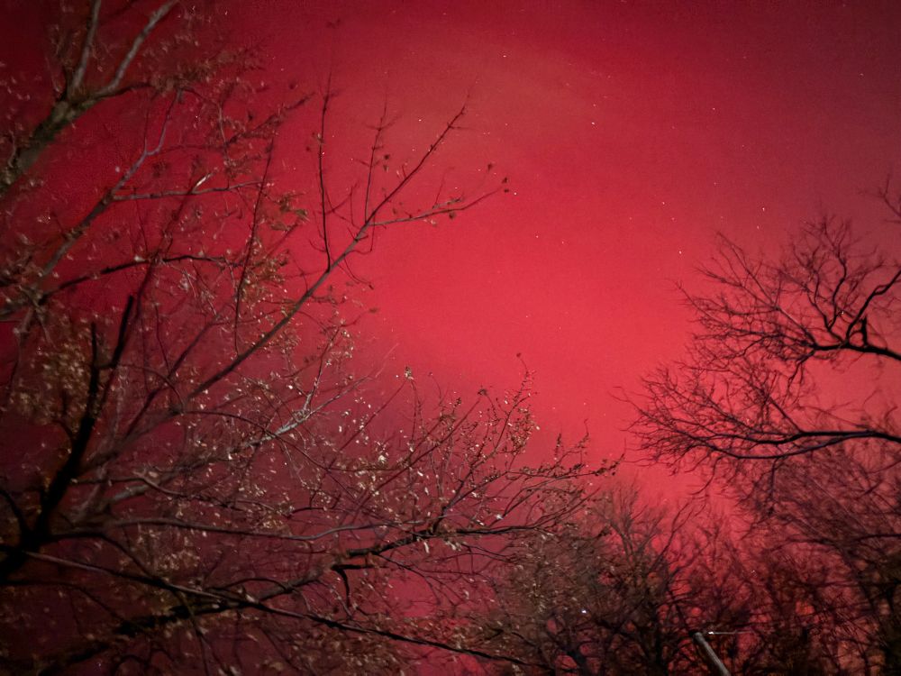 Red northern lights with trees
