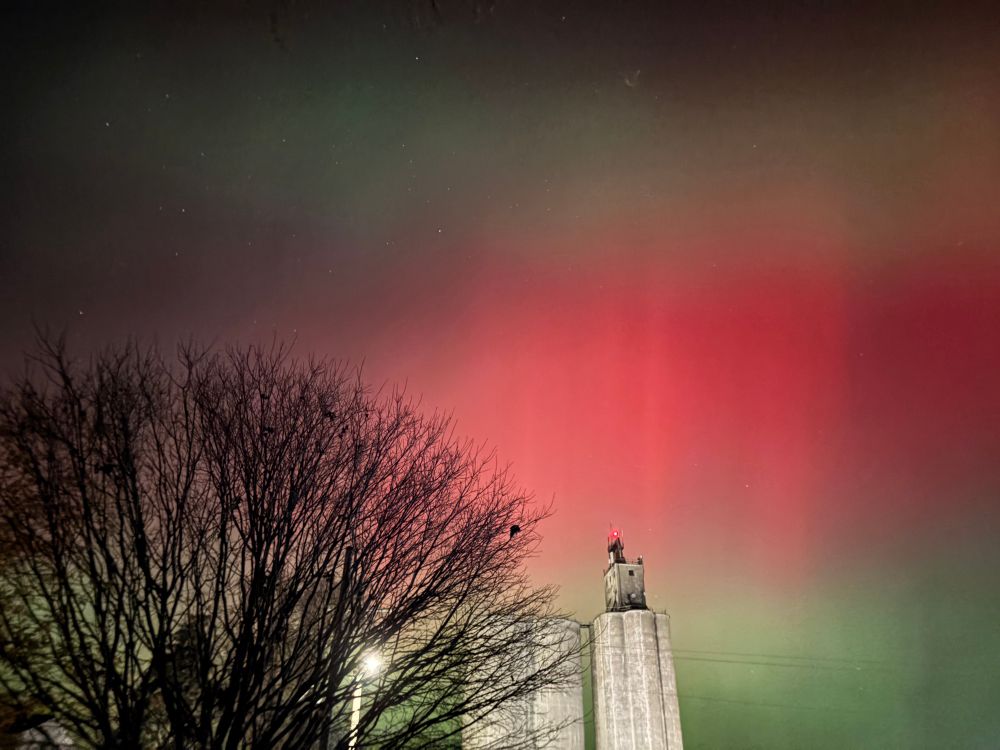 Red, green, and white northern lights with buildings and trees 