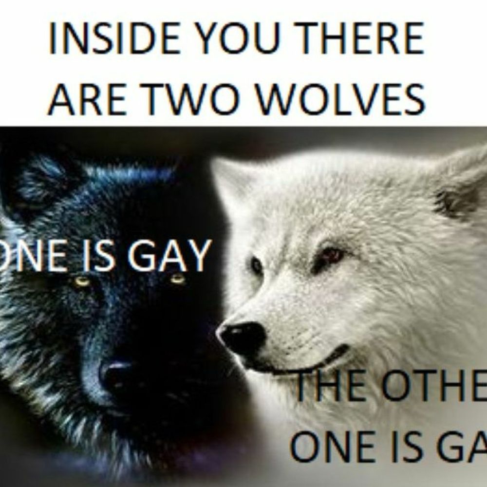 “Inside you there are two wolves.  One is gay.  The other one is gay.”
