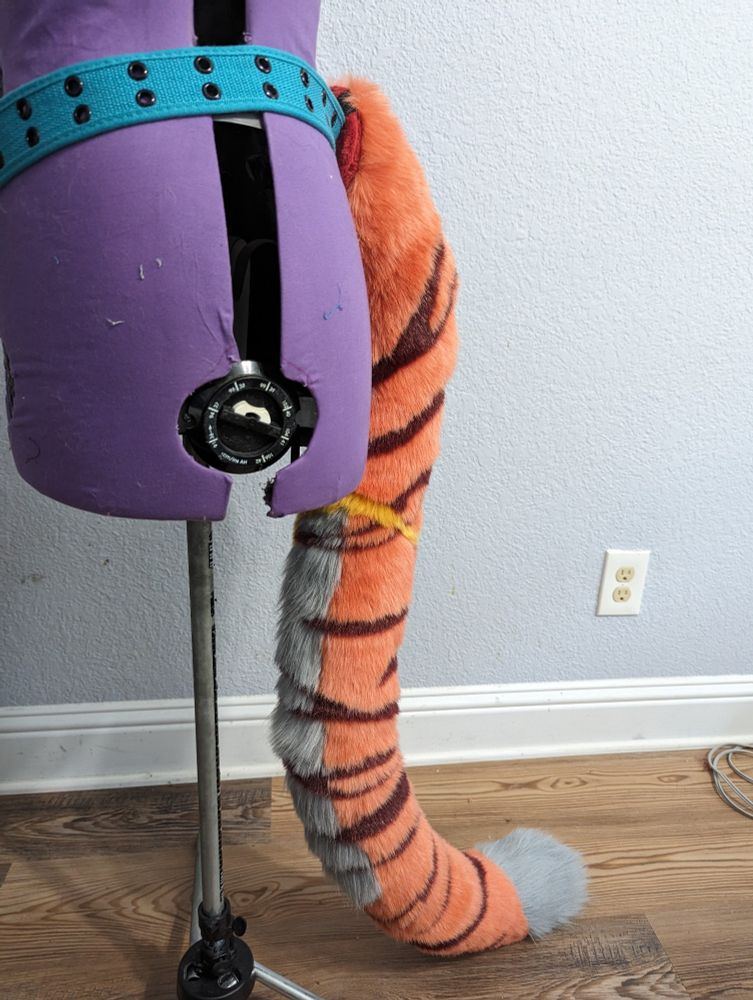 Orange and grey tiger tail with Marron stripes side view