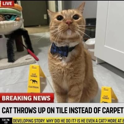 Cat in black-tie collar standing on tile with two wet-floor warning signs saying "CAT VOMIT--CAUTION"

Chyron below: Cat throws up on tile instead of carpet! Developing story. Why did he do it? Is he even a cat? More at 8.
