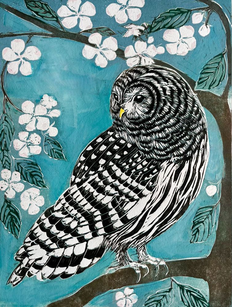 Barred owl in the apple trees along Lake Superior, reduction linocut with some additional ink