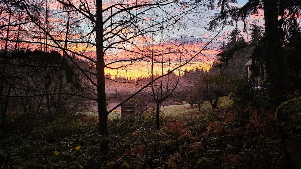 View of sunrise over the neighbors pond as seen from our driveway.