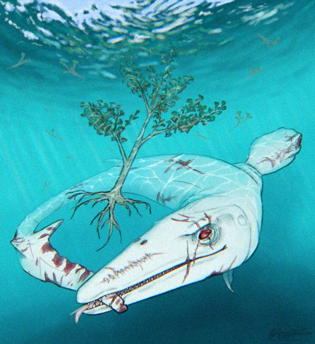 An albino Jormungandr circles a Ginko adiantoides sapling that was blown into the sea by a recent thunderstorm.

It's biting its tail in reference to its namesake, Jõrmungandr the Midgard Serpent, with the ginkgo sapling being a reference to Yggdrasil, the World Tree.

On its snout, the scars spell out "ᛃᛟᚱᛗᚢᚾᚷᚨᚾᛞᚱ" which is Jörmungandr in Old Futhark.