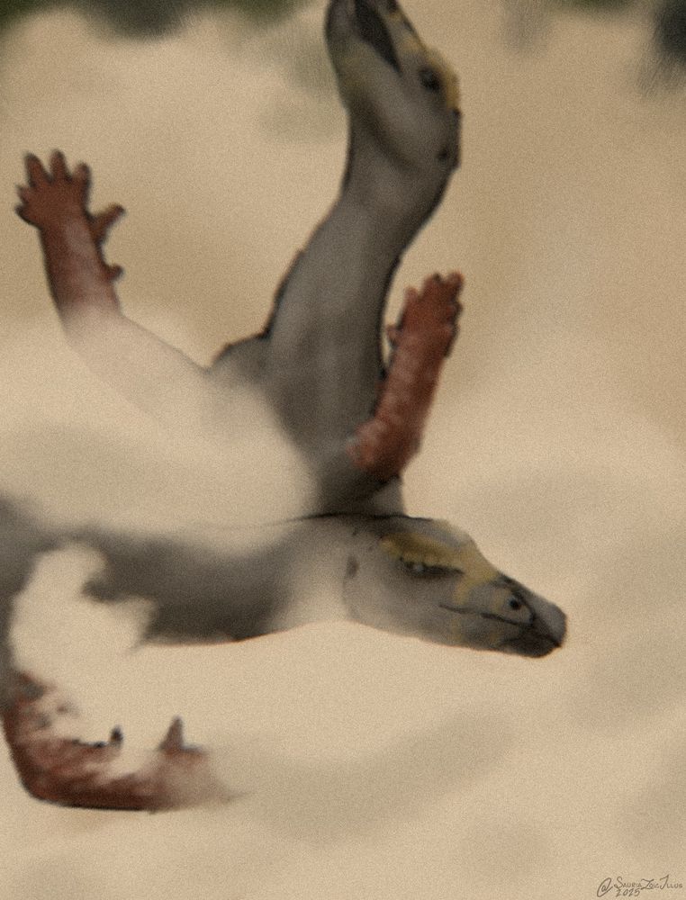 two male Thescelosaurus duel it out, kicking up a cloud of dust in the process.

Thescelosaurus is a large sheep-sized dinosaur which possessed both teeth and a beak, some species also had spurs on their arms, but this isnt observed in all species