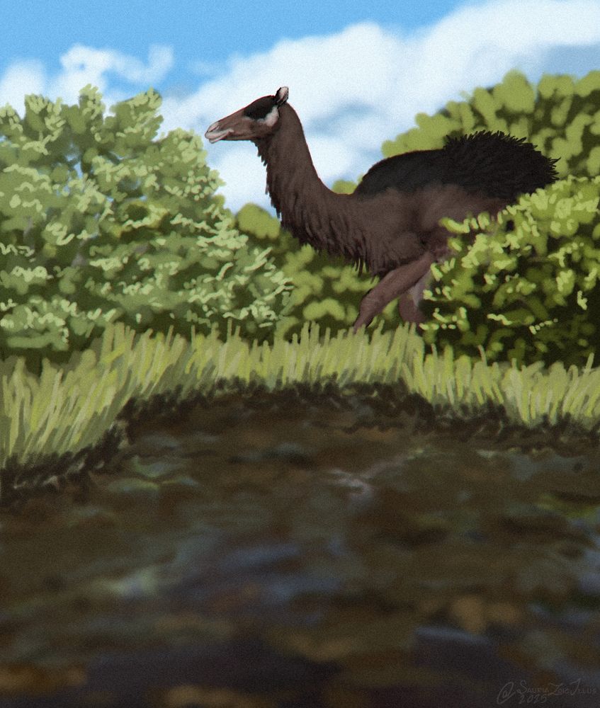 a Camelops walks past a fairly newly formed tarpit nestled amongst thick vegetation

Camelops is an extinct kind of camel that lived during the last ice age, unlike modern camels it had quite a slender snout and was slightly taller, it's unknown if it had a hump or not, however, we know that if it did have a hump it would only have one rather than two thanks to the shape of its back