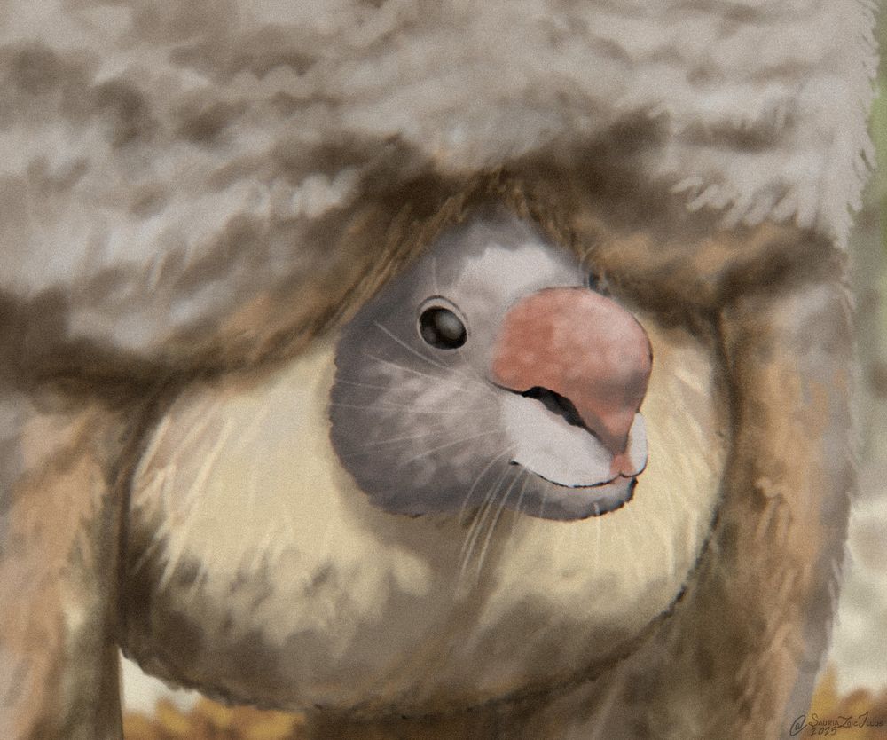 a Diprotodon joey peaks out from its mother's pouch

Diprotodon was a massive marsupial that clades close with forms like wombats and koalas, like wombats their pouches may have faced backwards